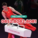 jual kuda pelana senam harga grosir pabrik