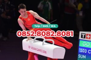 jual kuda pelana senam harga grosir pabrik